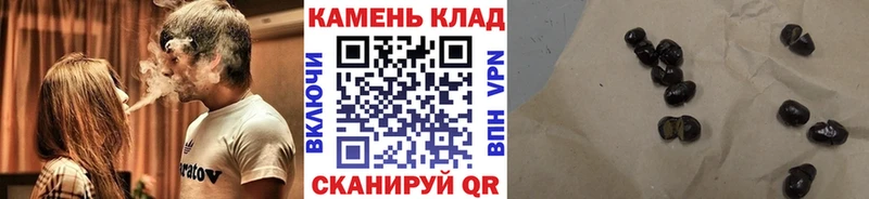 хочу   Богучар  ГАШ Premium 