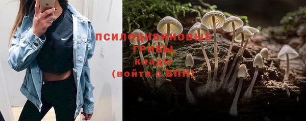 твердый Алексеевка