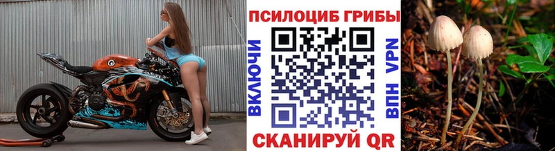 omg   даркнет клад  Богучар  Галлюциногенные грибы мухоморы  купить наркотики цена 